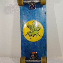 Skateboard Cruiser Board 