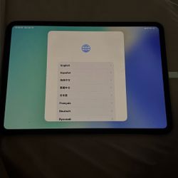 iPad 