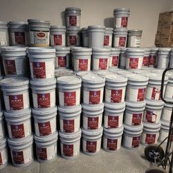 Paint For Sale 