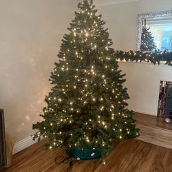 Christmas Tree 
