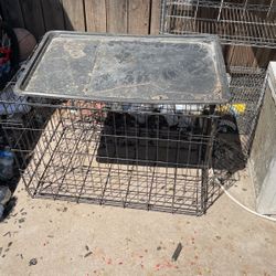 Dog Kennel 