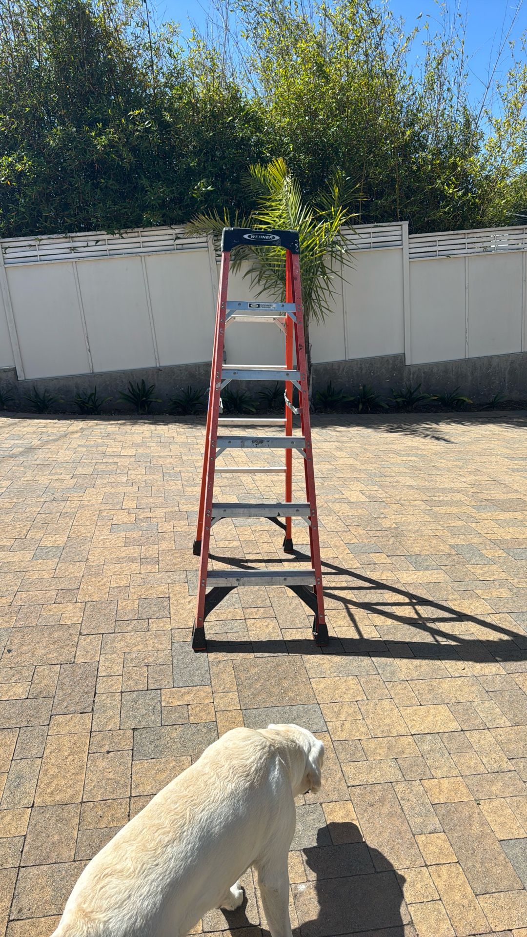 Werner 6’ Fiberglass Ladder