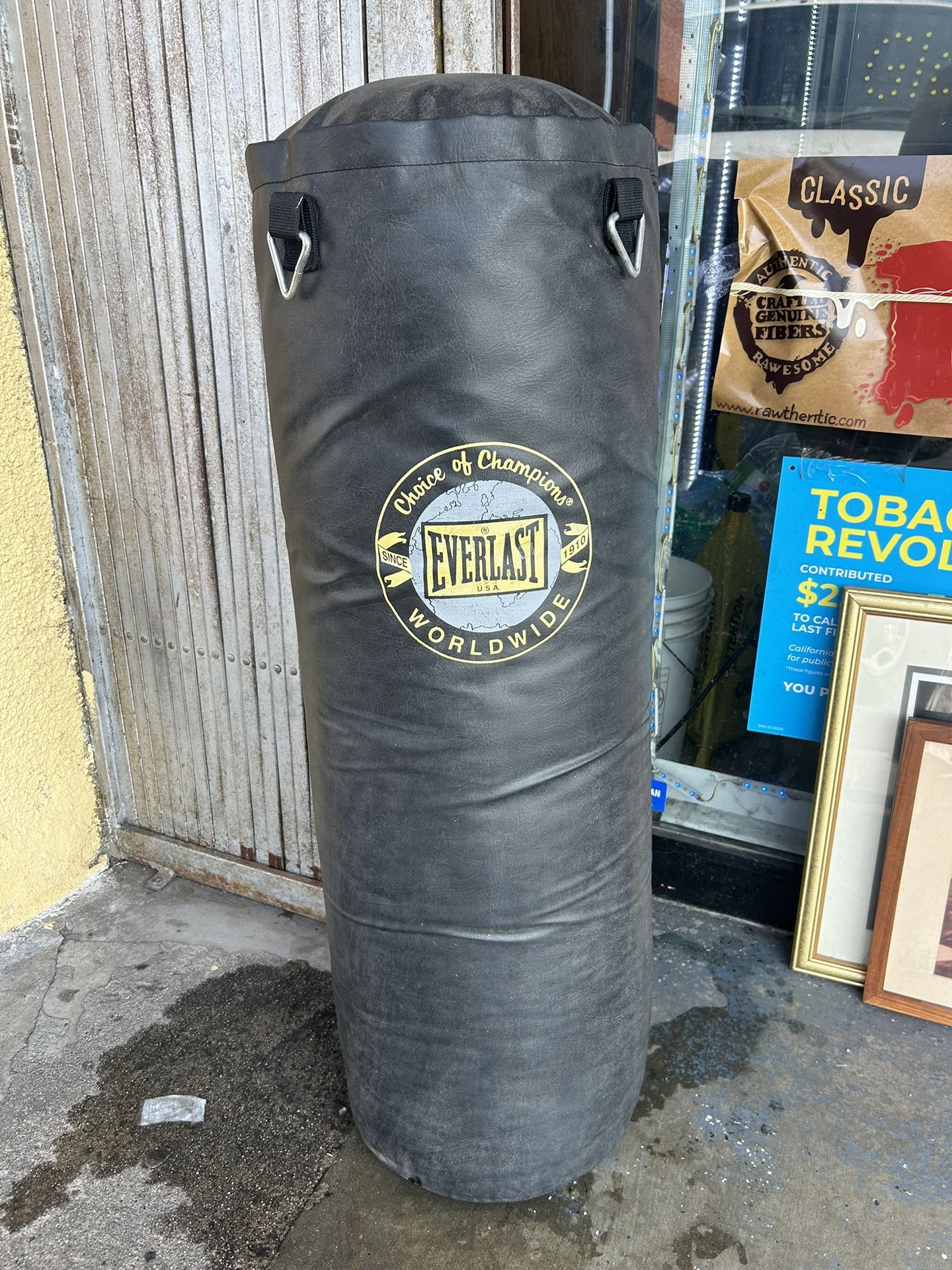 Everlast Punching Bag