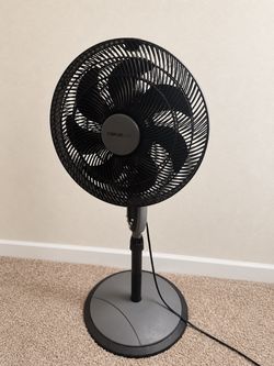 Comfort Zone Standing Fan