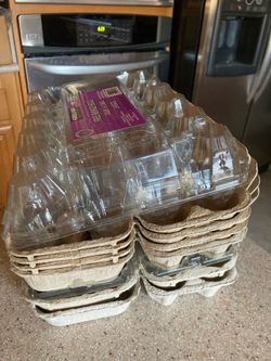 8x Free egg cartons for crafts or seedlings etc/ Pick up in Lakeside