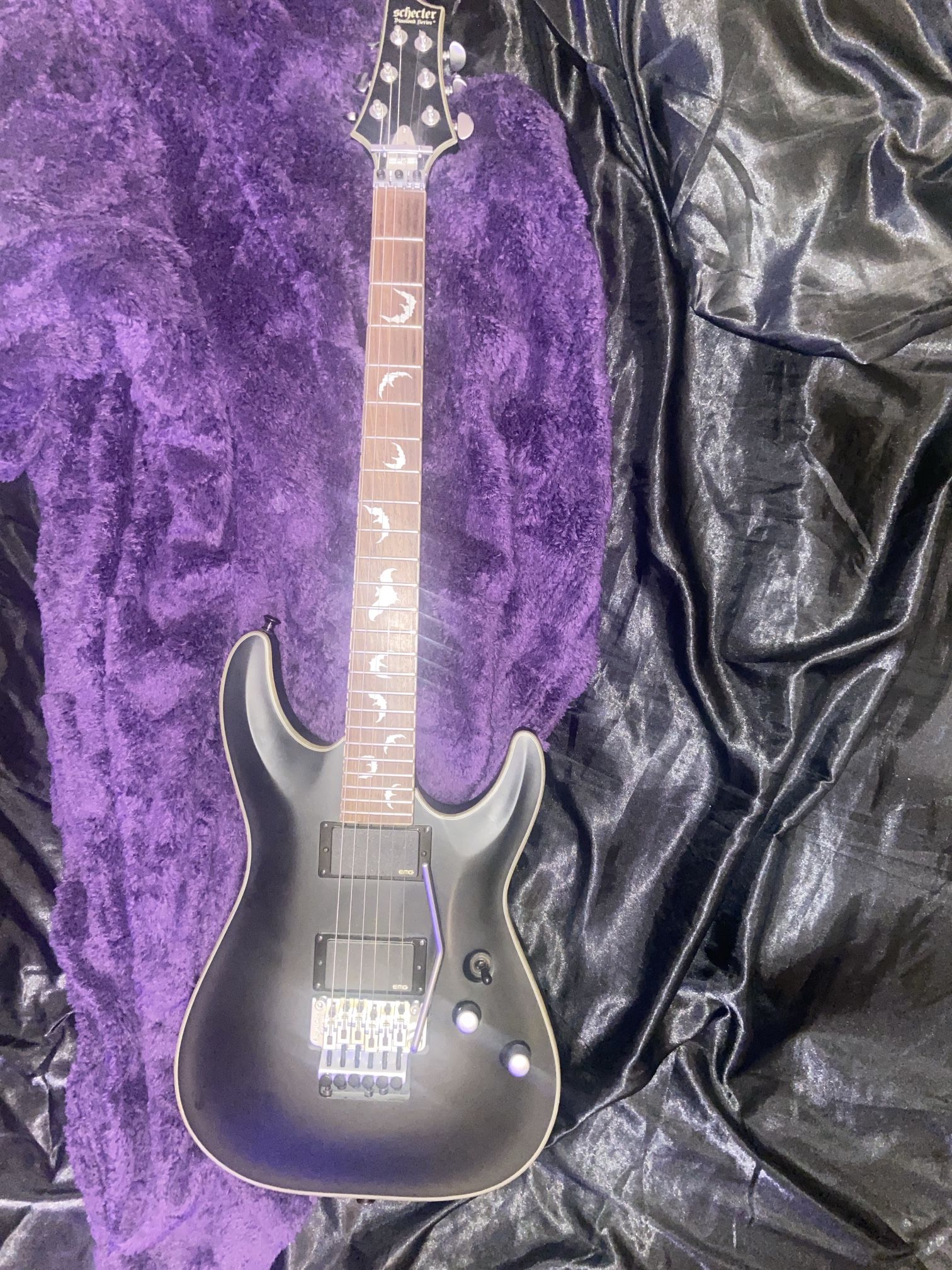 Schecter Damian Platinum 6