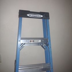 Brand New Werner Ladfer