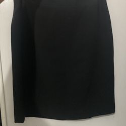 ANN TAYLOR SKIRT Size 8Petite
