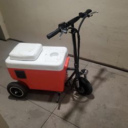 Cooler Scooter