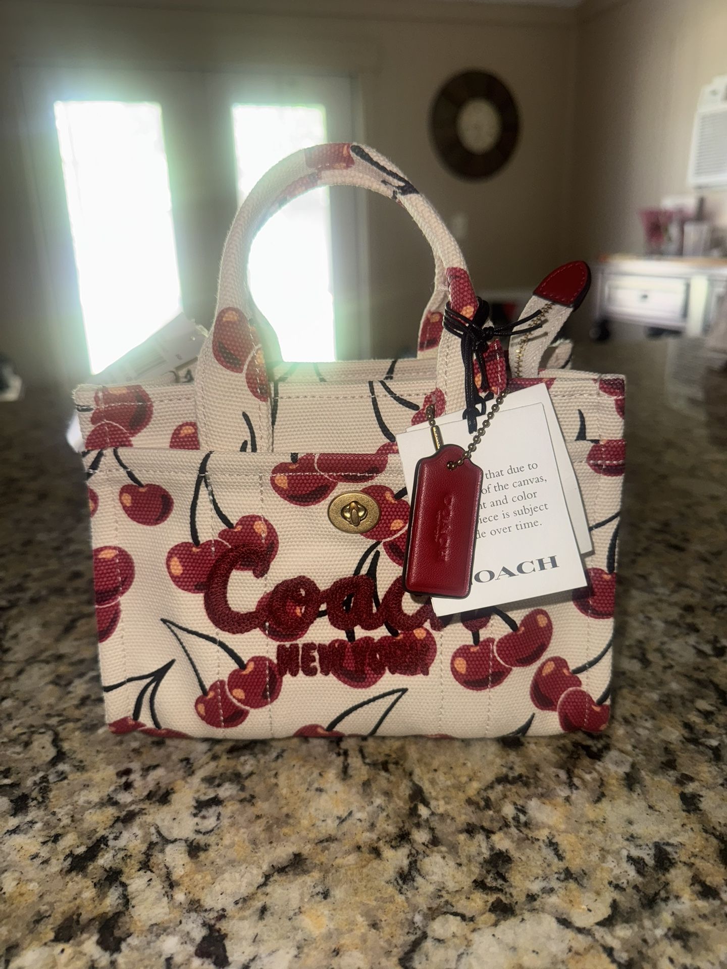 Coach Tote