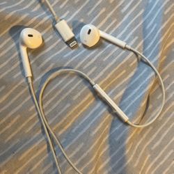 Apple Earbuds