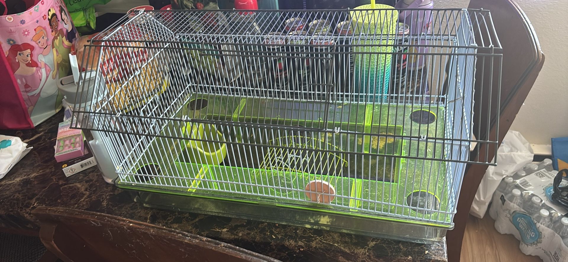 Hamster Or Rat