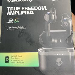 Skull Candy Undo Evo Earbuds