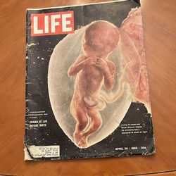 1965 life magazine