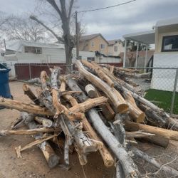 Free Firewood