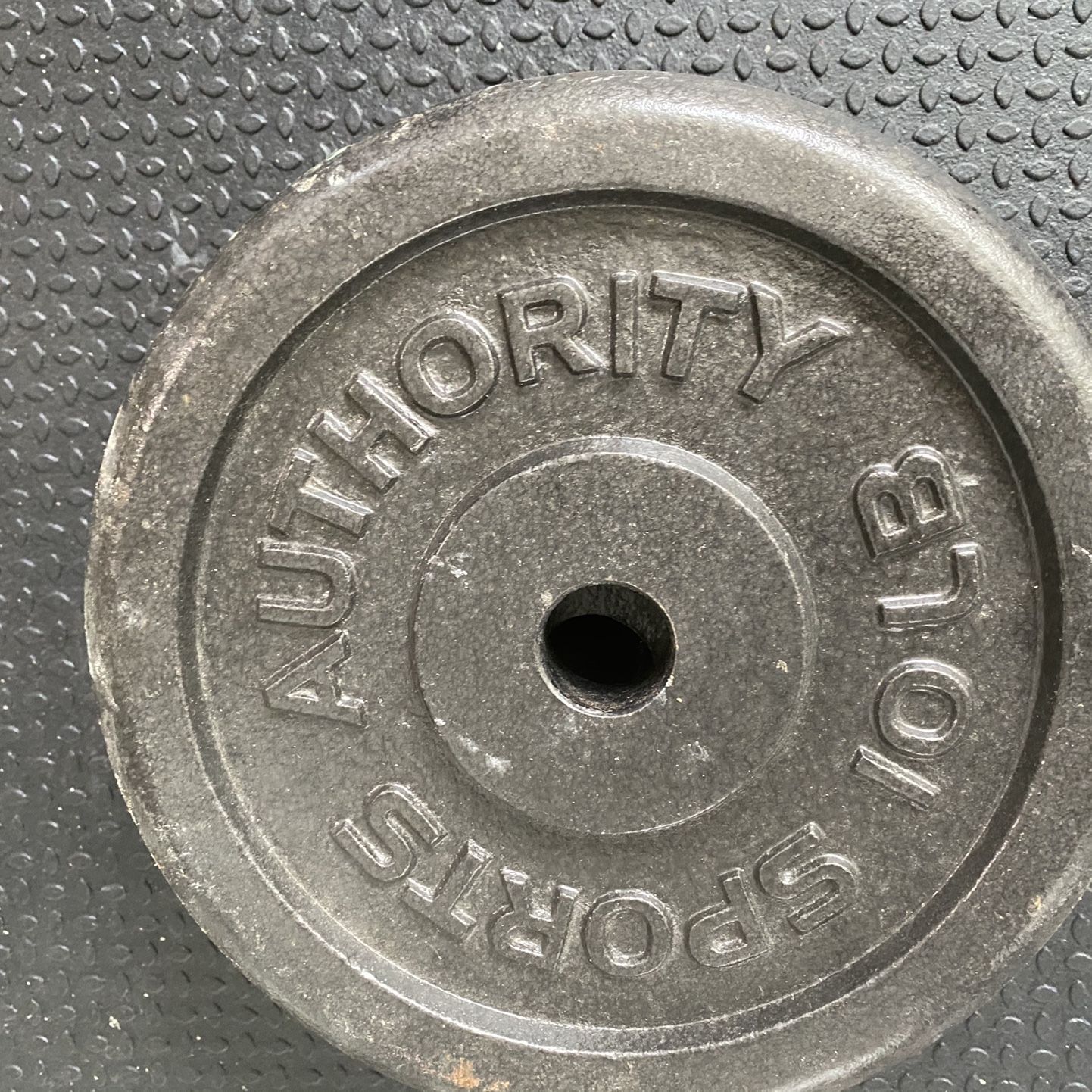 Weight Plates (these do not fit on Olympic barbell)
