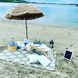 Picnic With Memories 