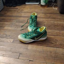 Nike Oragan Basketball 11.5