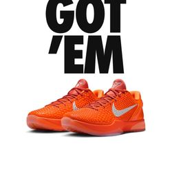 Kobe VI Protro