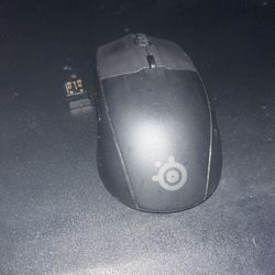 Logetic Wireless Mouse 