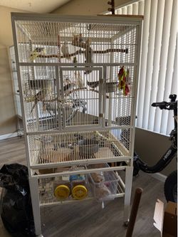 Bird cage