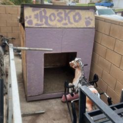 Dog house