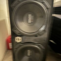 12’ Subwoofers