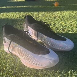 AE 1 Low Year Of The Snake