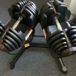 Bowflex 1090 Dumbells 