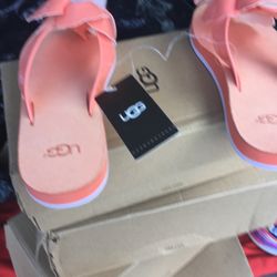 Uggs 