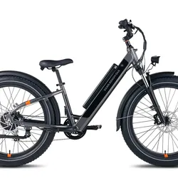 Rad Rover 6 plus E Bike