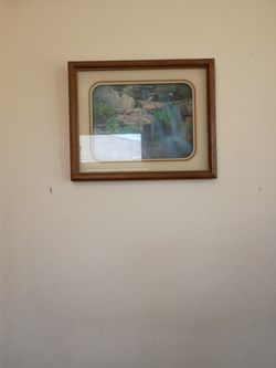 Picture In the Frame.