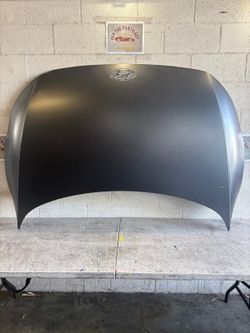 2020 2021 2022 2023 Hyundai Ioniq 5 Front Hood Panel OEM Genuine Factory Original Used