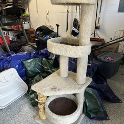 FREE Cat Tree & Accessories