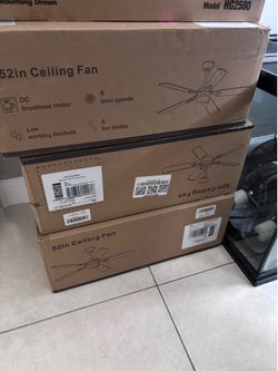 Ceiling fan