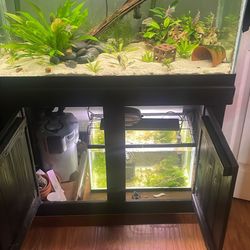 60 Gallon Aquarium 