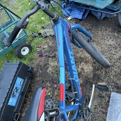 Giant Mt Bike