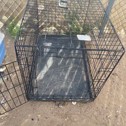 large dog kennel 