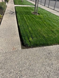 Landscaping