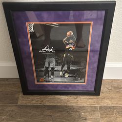 Phoenix Suns picture