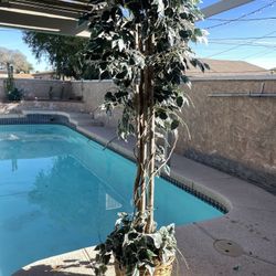 Decorative Tree 