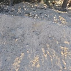 Free Sand