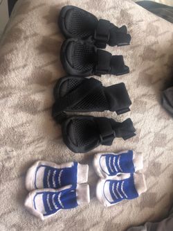 Dog boots