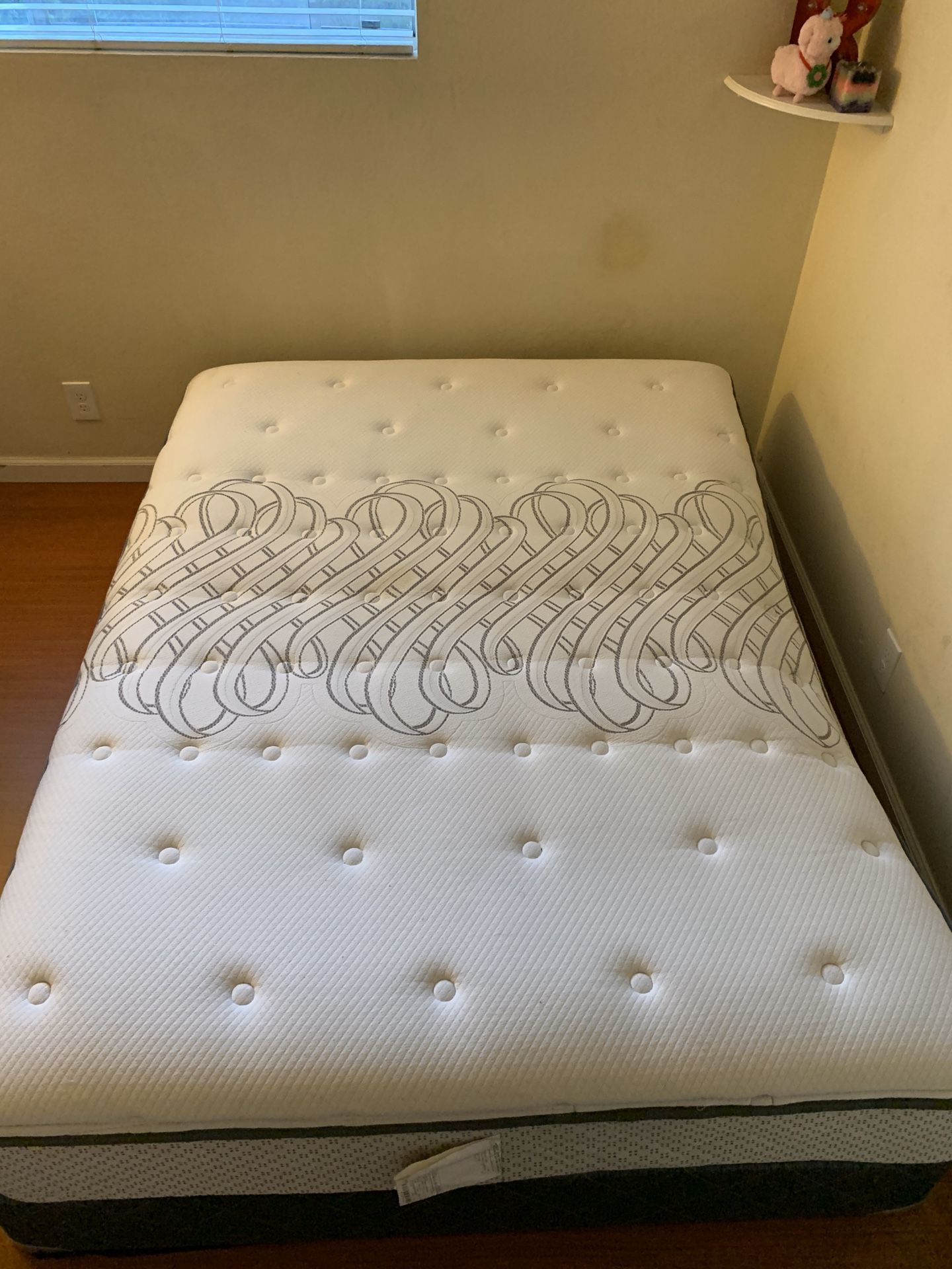 Free Queen Bed and Box Spring