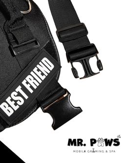 Pechera Para Perros/ Dog Harness