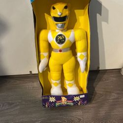 1993 Mighty Morphin Power Ranger 20 Inch Trini 