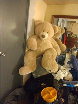 5ft Teddy Bear $30 Obo