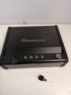SentrySafe Biometric Pistol Safe