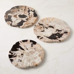 CB2 Ring Petrified Wood Serving Board