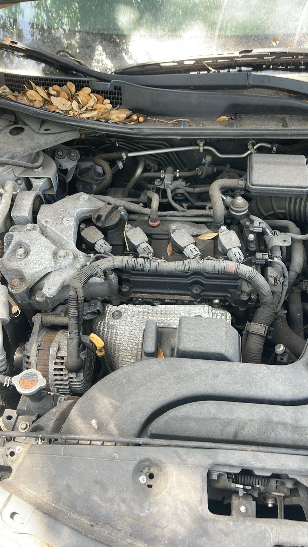 Engine And Transmission